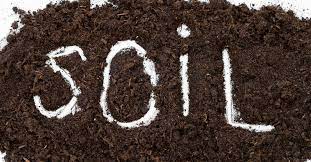 Read more about the article Soil Investigation at Mumbai and Thane